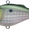 Matte Green Gizzard Shad