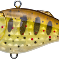 Pearl Brown Trout