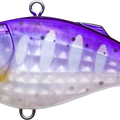 Pearl Purple Trout