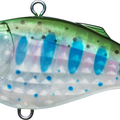 Pearl Rainbow Trout