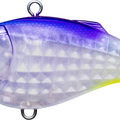 Sunset Shad