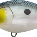 Matte Green Gizzard Shad