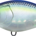 Matte Ghost Sexy Shad