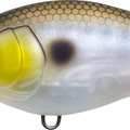 Matte Gizzard Shad