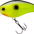 Black Back Chartreuse