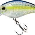 Ghost Sexy Shad