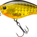 Prism Gold Black