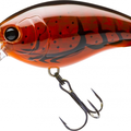 Translucent Brown Crawfish