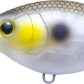 Matte Gizzard Shad