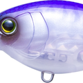 Sunset Shad