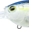 Ghost Sexy Shad
