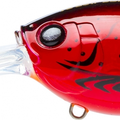 Red Crawfish