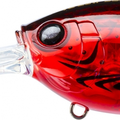 Translucent Red Crawfish