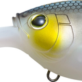 Matte Green Gizzard Shad