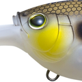 Matte Gizzard Shad