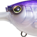 Sunset Shad