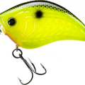 Black Back Chartreuse