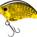 Prism Gold Black