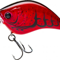 Red Crawfish