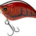 Translucent Brown Crawfish