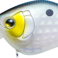 Matte Green Gizzard Shad