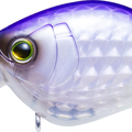 Sunset Shad