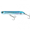 Sardine