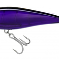 Black Purple