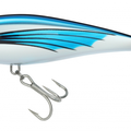 Flying Fish
