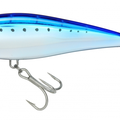 Sardine