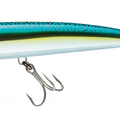 Green Mackerel
