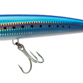 Sardine