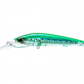 Sardine