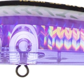 Midnight Mackerel