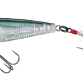 Real Gizzard Shad