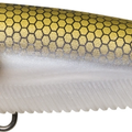 Matte Gizzard Shad