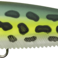 Matte Prism Frog