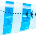 Zebra Luminous Blue
