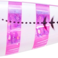Zebra Luminous Pink