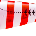Zebra Luminous Red
