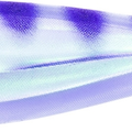 UV Purple Head