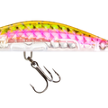 Baby Rainbow Trout