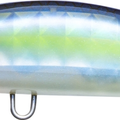 Ghost Sexy Shad