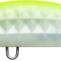 Matte Ghost Pearl Chart Back