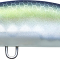 Matte Ghost Sexy Shad
