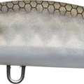 Matte Gizzard Shad