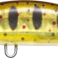 Pearl Brown Trout