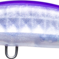 Sunset Shad