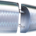 Gizzard Shad