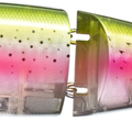 Rainbow Trout